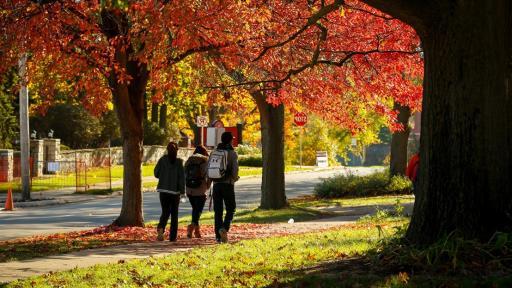 three students walking outside with fall leaves